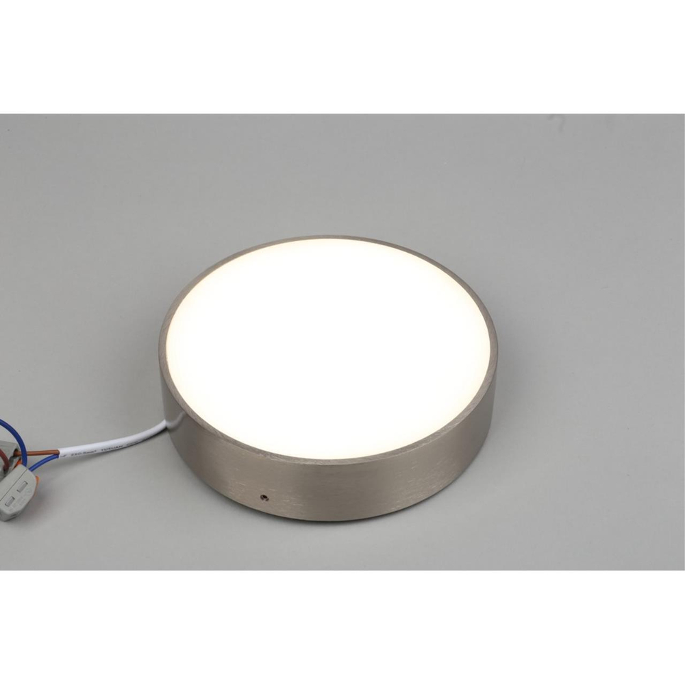 Потолочный светодиодный светильник Aployt Evon APL.0114.19.18