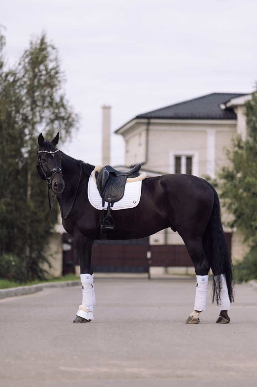 Вальтрап Diamond Zest AIR White