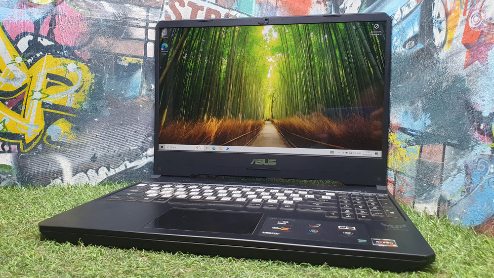 Игровой ASUS Ryzen 5/12Gb/GTX 1050 3Gb/120Hz/ TUF Gaming FX505DD-AL193T/Windows 10