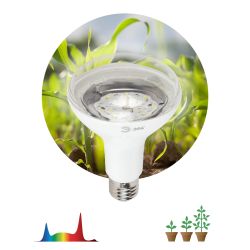 Фитолампа для растений светодиодная ЭРА FITO-15W-Ra90-E27 полного спектра 15 Вт Е27 | Фитолампы Е27