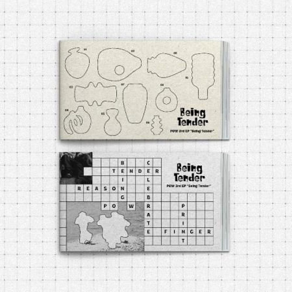 Альбом POW - BEING TENDER 3rd Album PHOTOBOOK 2 Version SET