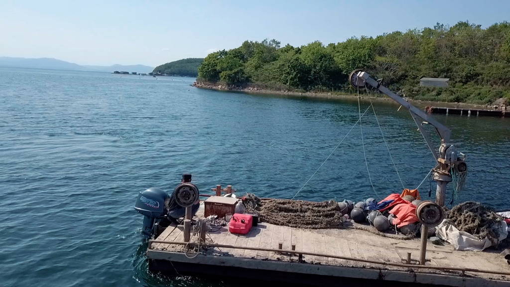 Дизельный лодочный мотор MIKATSU MD35FHL (2024)