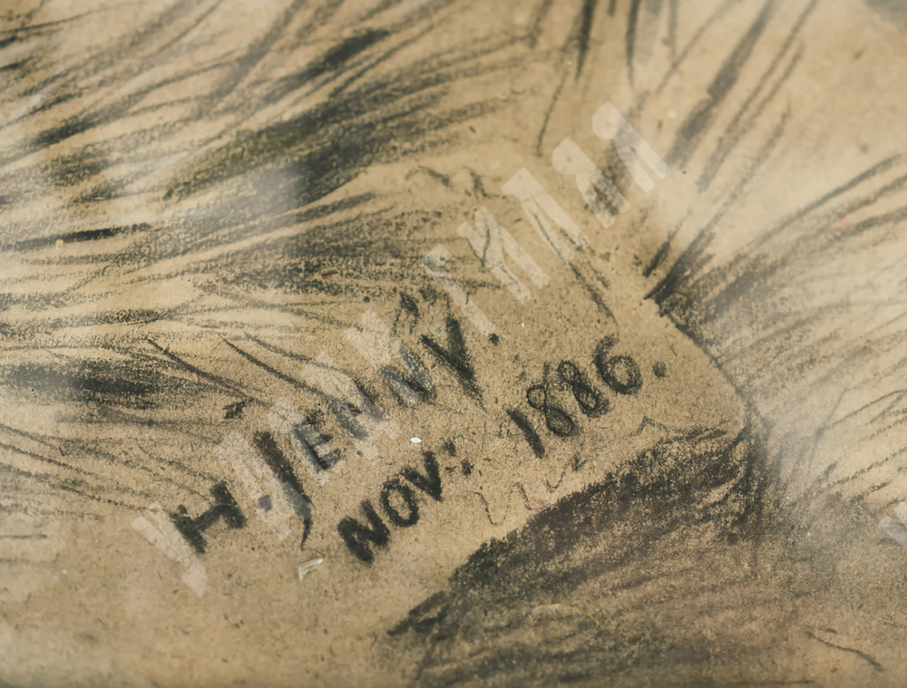 Генрих Дженни (Jenny Heinrich). «Амазонка». Швейцария, 1886 г.