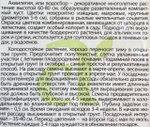 Аквилегия Махровые Гиганты, смесь 0,1 г СМЦ-356