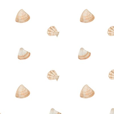 разные морские ракушки на белом фоне нарисованные акварелью