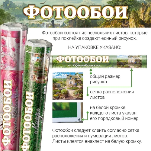 Фотообои Vostorg № 287 Березовая роща 392х260см