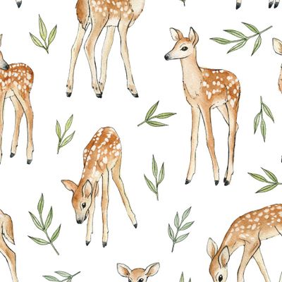 Милые оленята на белом фоне