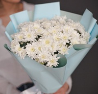 Flower bouquet of 15 white chrysanthemums