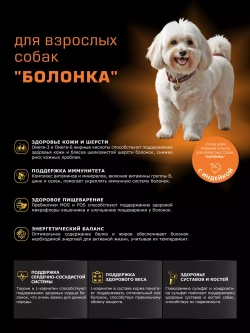 Корм сухой для собак породы Болонка, с индейкой, 800 гр
