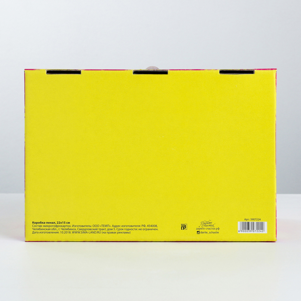 Коробка‒пенал «Яркий День Рождения», 22 × 15 × 10 см