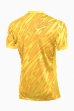 Вратарская футболка Nike Gardien V GK - желтый
