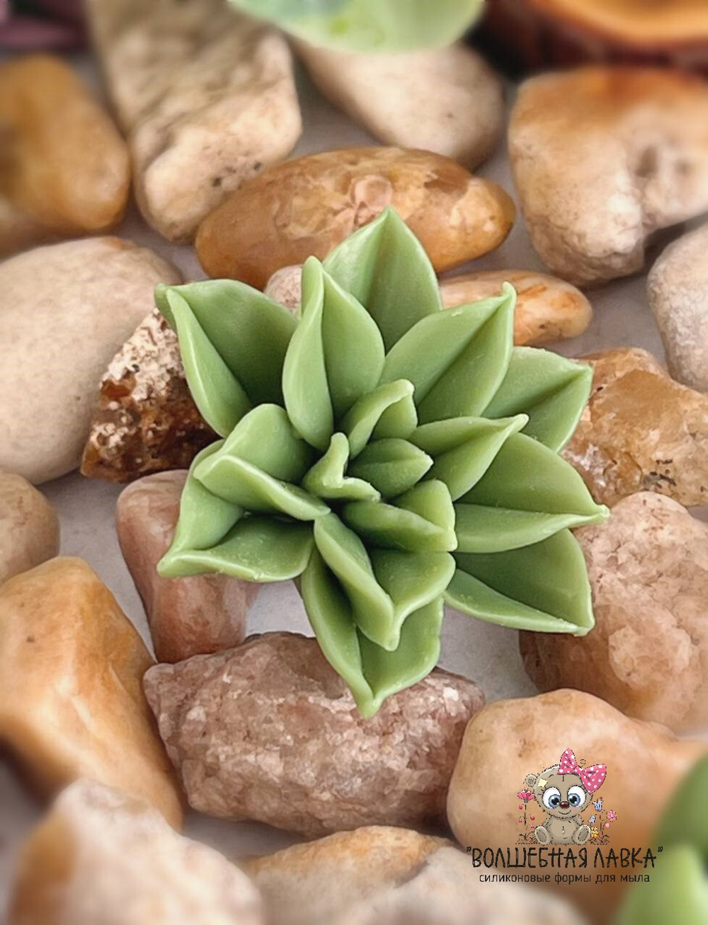 Силиконовая форма Суккулент