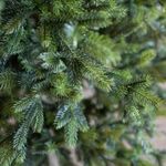 Ель искусственная «Брено» (Литая хвоя) от 1.8 до 2.4 м