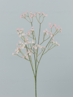Ветка гипсофилы розовая