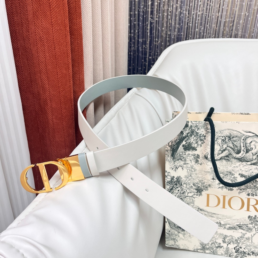 Christian Dior Reversible Belt