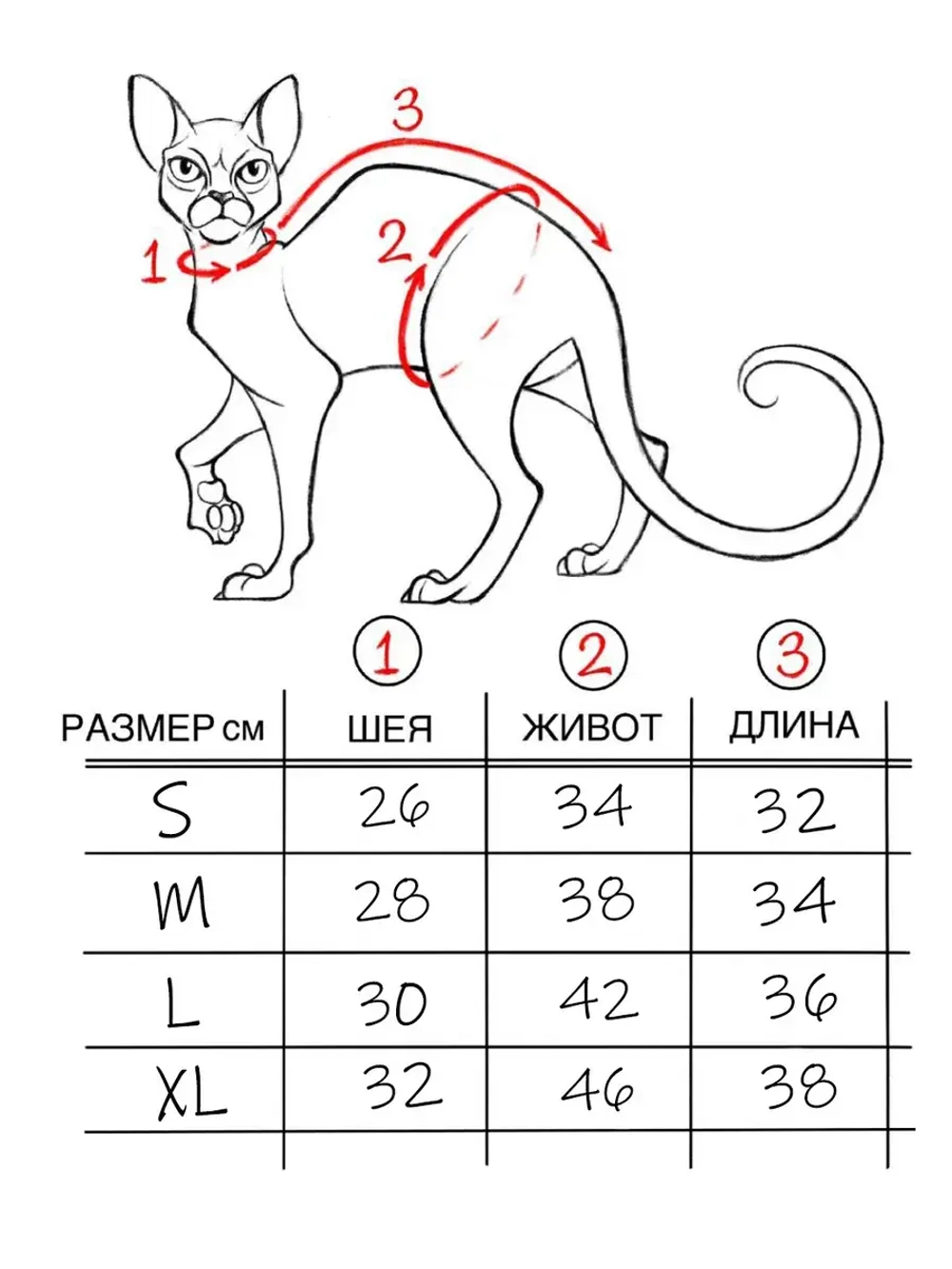 Одежда для кошек сфинкс