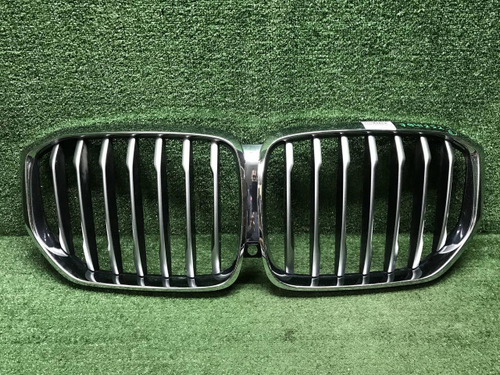 Решетка радиатора BMW X5 G05 (2018-2023)