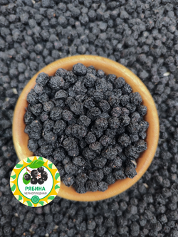 Рябина черноплодная