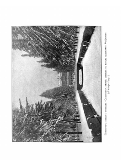 Изящное садоводство и художественные сады | Регель Арнольд Эдуардович