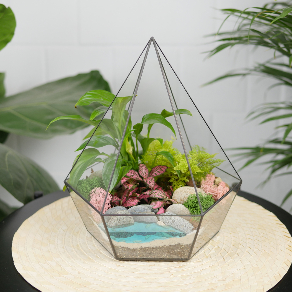 Готовый флорариум тропический Алмаз с озером