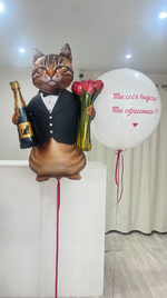 Шары для девушек №525