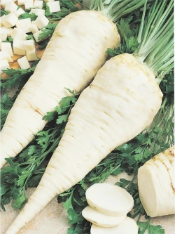 Семена Петрушка Корневая сахарная