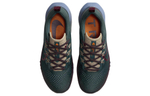 Кроссовки Nike Pegasus Trail 4 (Женская размерная сетка)
