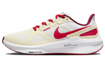 Кроссовки Nike Zoom Structure 25