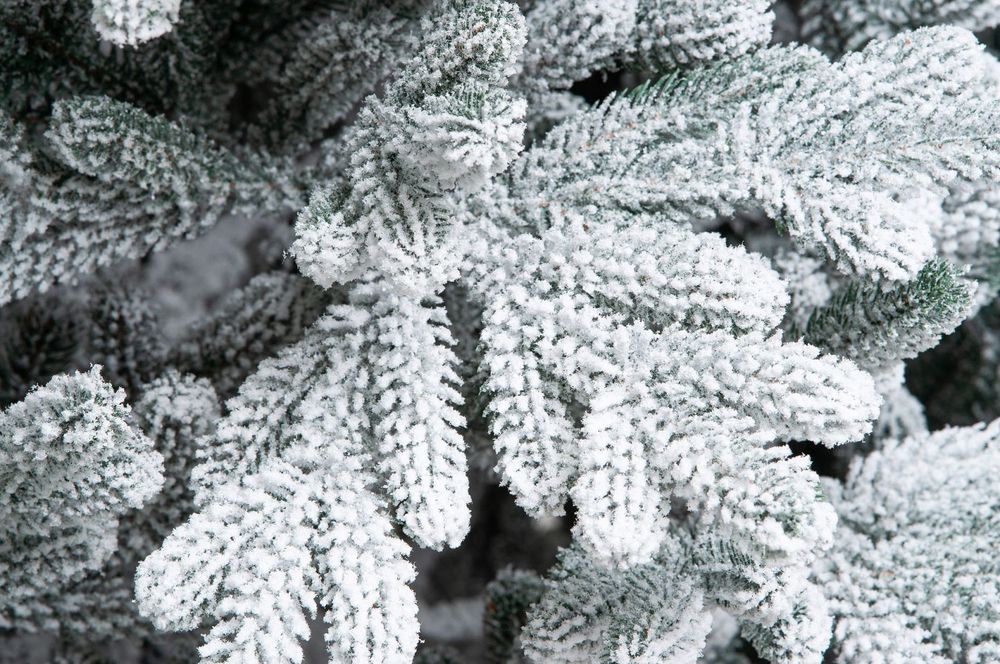 Заснеженная елка «Швейцарская» (Литая хвоя) 3 м