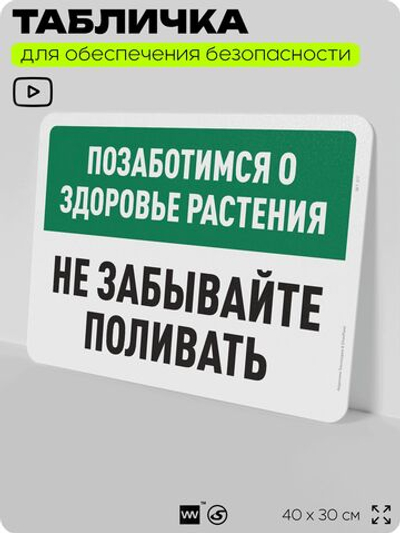 Табличка для обеспечения безопасности "Позаботимся о здоровье растения, не забывайте поливать", для офиса, по охране труда для предприятия, организаций, 40х30 см, Silver Plane x Айдентика Технолоджи