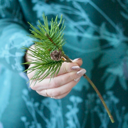 Ветка короткая еловая с шишкой. 27 см