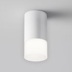 Потолочный светильник Technical C007CW-01W