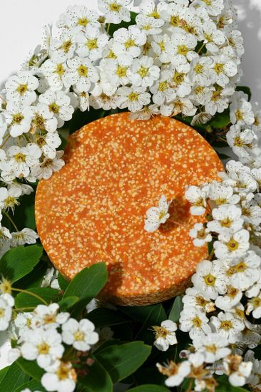 Шампунь твёрдый от перхоти Greena Avocadova, 50 г