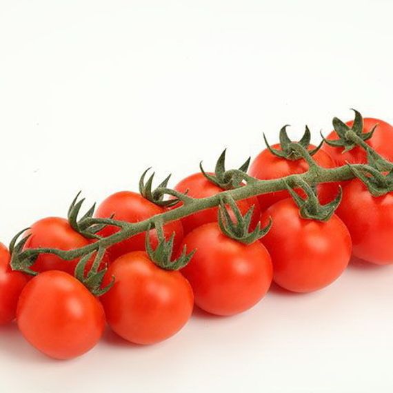 ТРЕБУС F1 семена томата отзывы