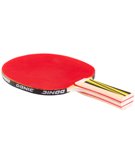 Ракетка для настольного тенниса Top Team 500