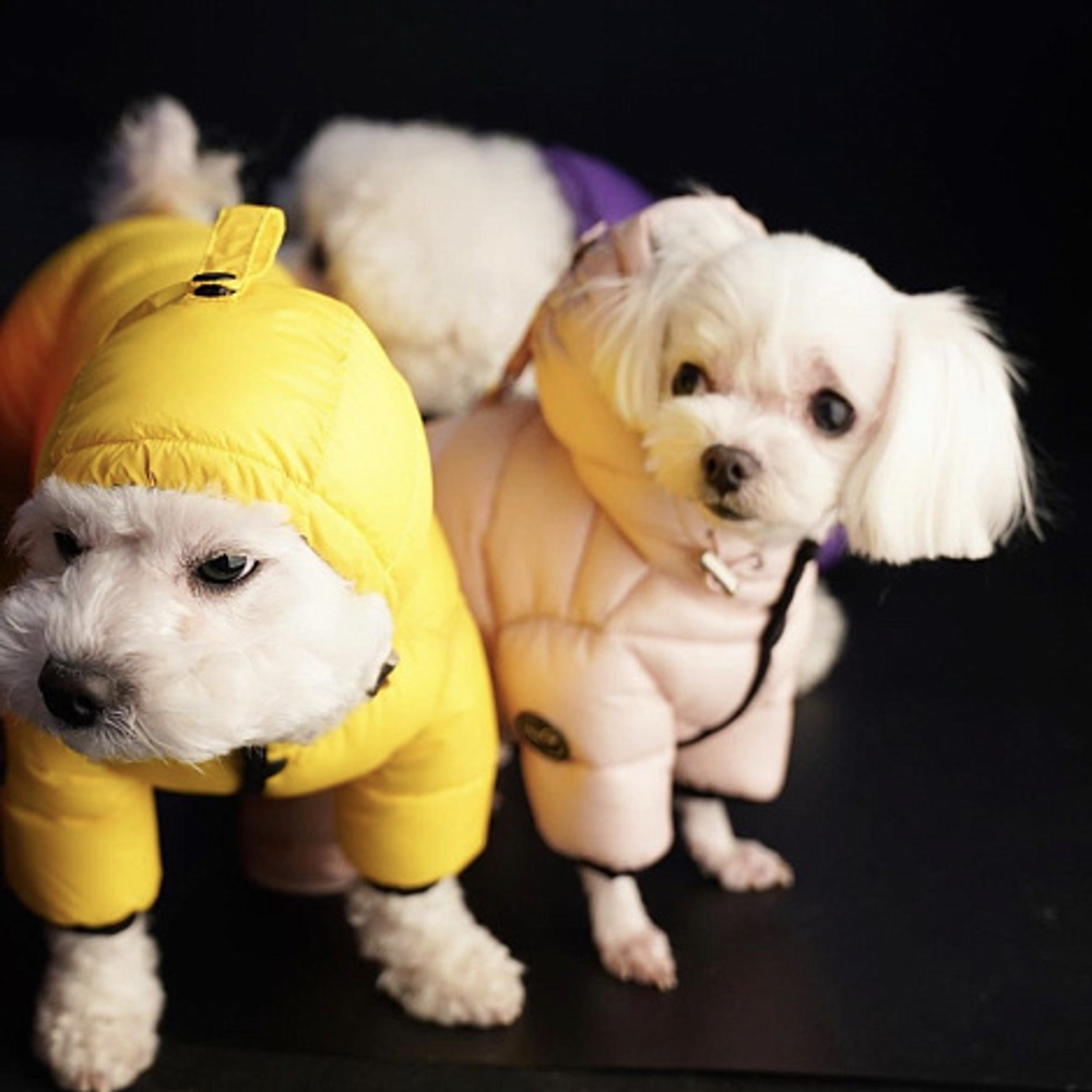 552 PA-OW Комбинезон "AIR 3", для девочек