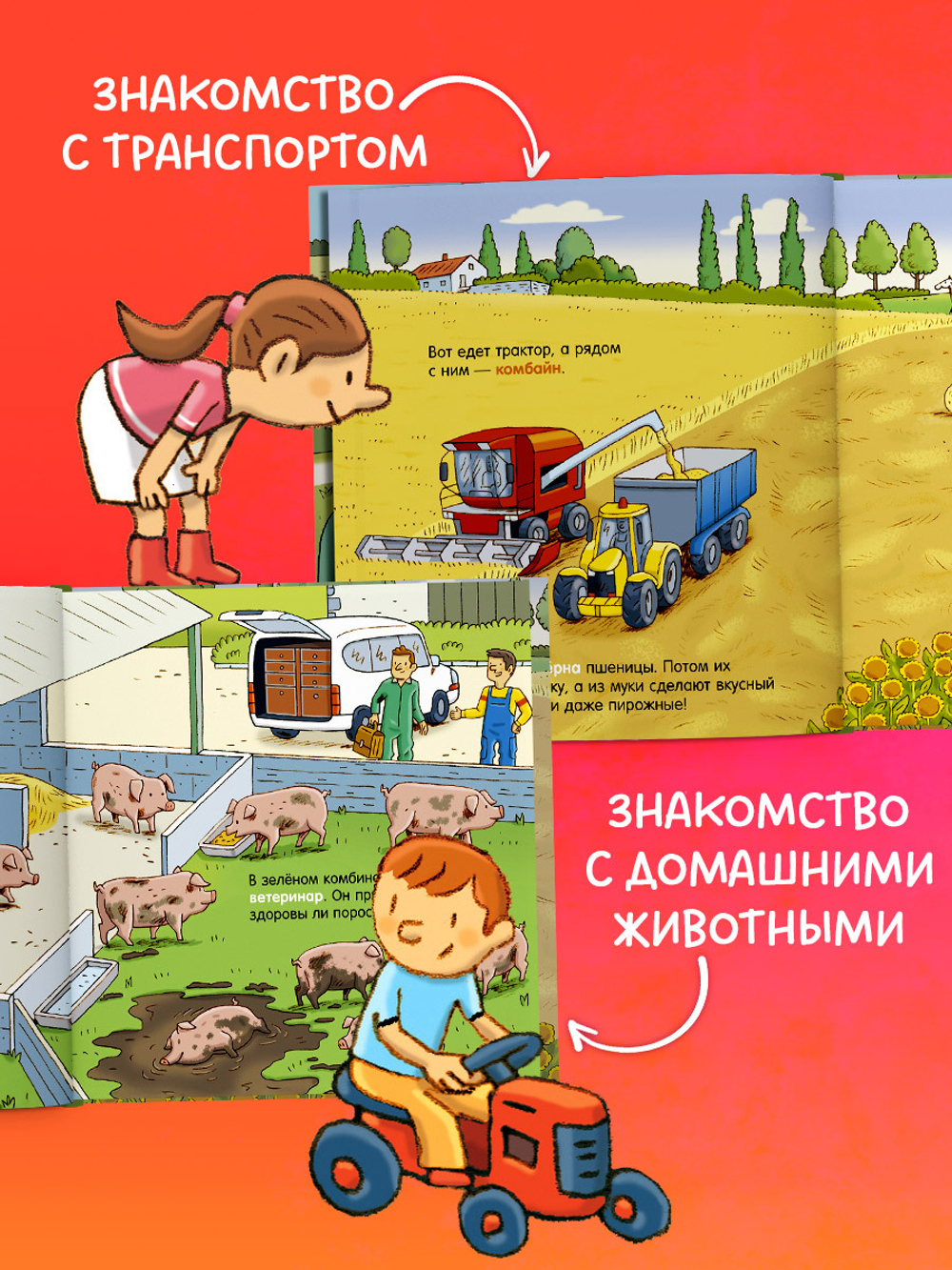 Как устроен мир? Ферма