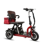 Электротрицикл Elbike Адъютант А1 250W