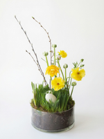 Светлая поляна