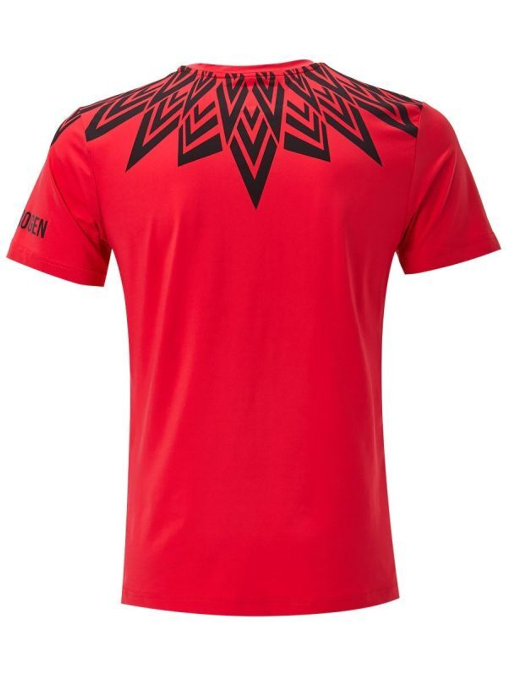 Мужская теннисная футболка Hydrogen Tech Tee Man - red