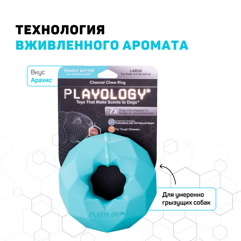 Playology  жевательное кольцо-многогранник CHANNEL CHEW RING для собак средних и крупных пород с ароматом арахиса, цвет голубой