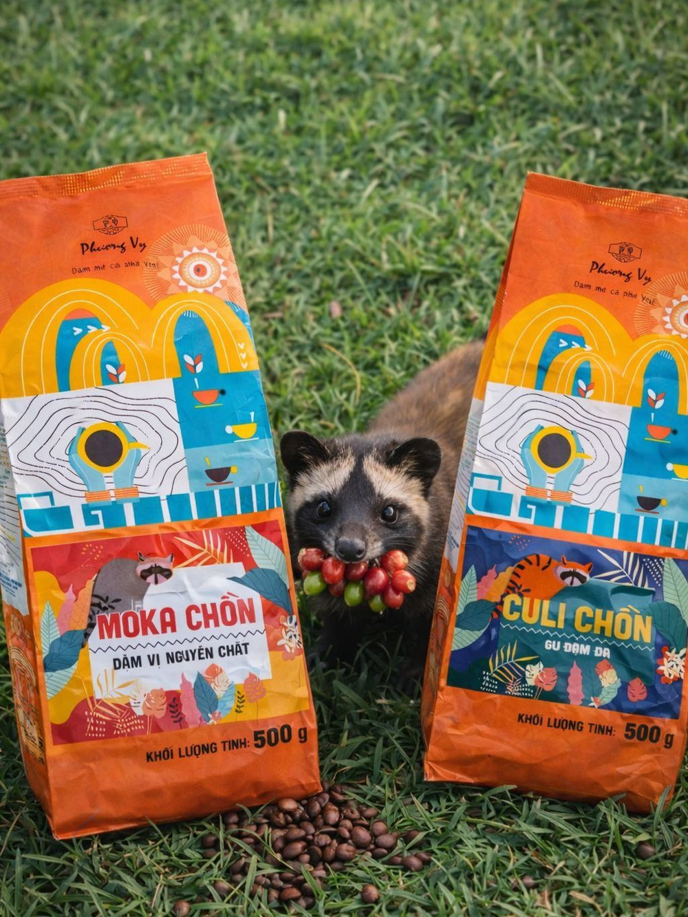 Кофе молотый вьетнамский Culi Chon Phuоng Vy, 500г