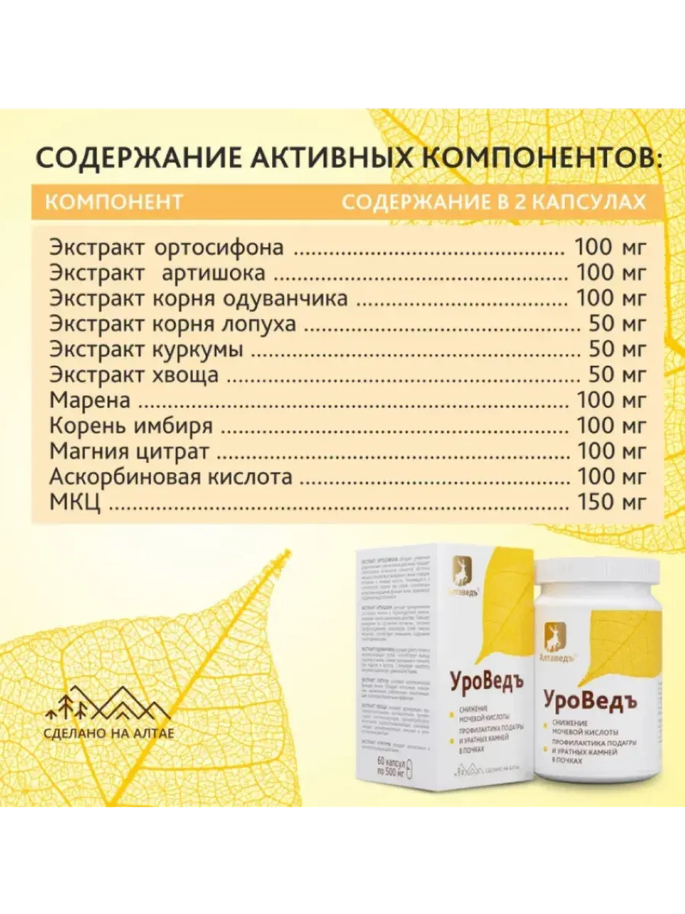 УроВедъ Для нормализации уровня мочевой кислоты Ортосифон