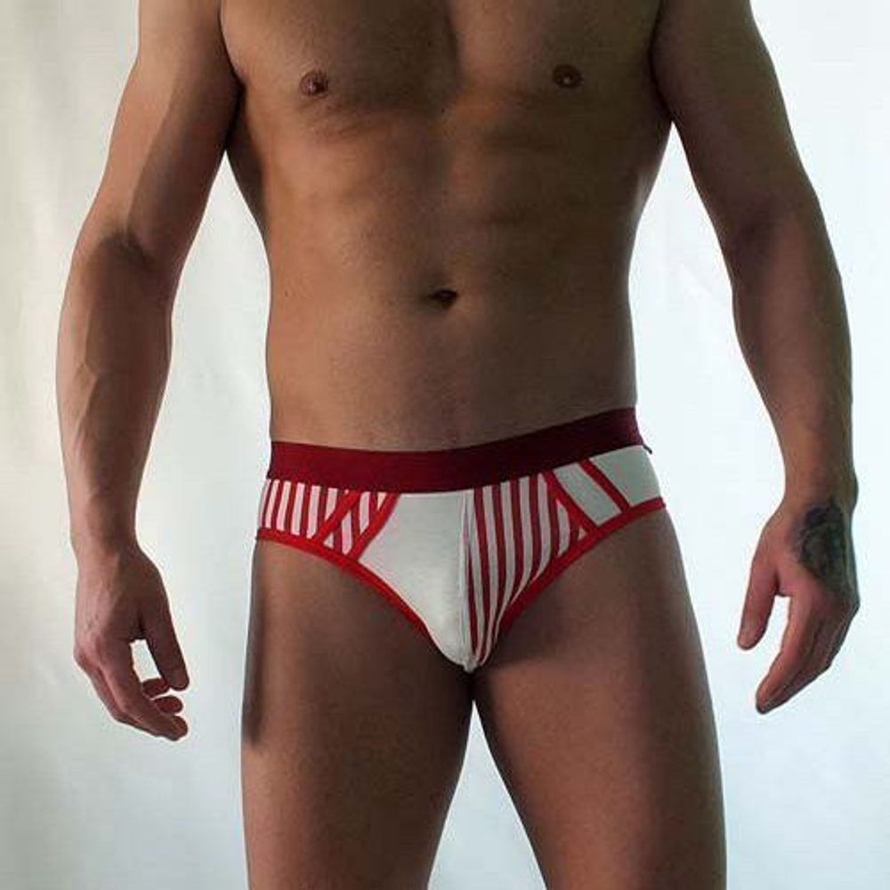 Трусы мужские брифы красно-белые Van Baam VB-418-AN018