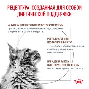 Корм для кошек, Royal Canin Fibre Response FR31, с повышенным содержанием клетчатки для кошек при запорах