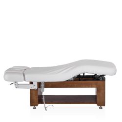 Электрический массажный стол Mizomed Alexander A-Salon стационарный