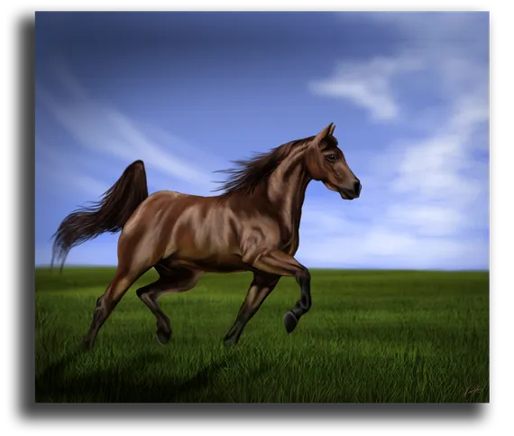 Постер "Коричневый скакун"