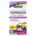 Nature's Answer, Kid's Sambucus Chewables, черная бузина с витамином C и цинком, 45 жевательных таблеток