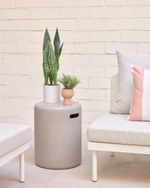 Искусственное растение Sansevieria с белым горшком 55 см