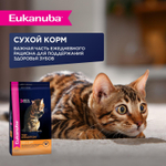 Eukanuba Adult Top Condition влажный рацион с говядиной в соусе для взрослых кошек 85г